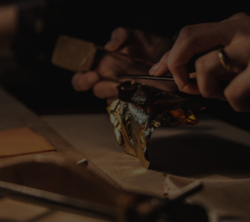 Innovation 0fe86a9c 360x320